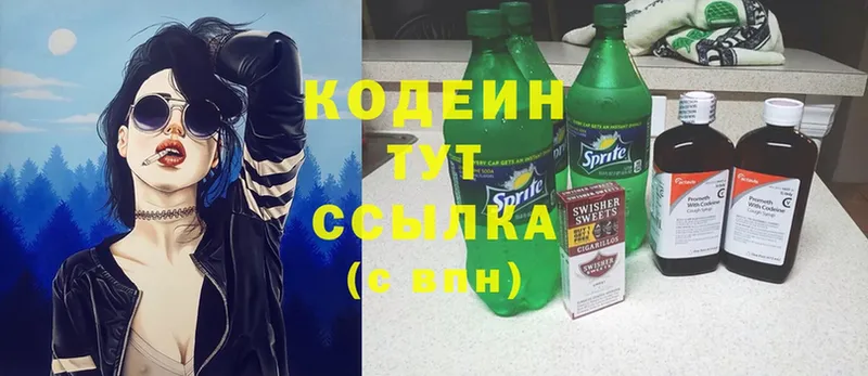 blacksprut маркетплейс  Жердевка  Кодеиновый сироп Lean Purple Drank 